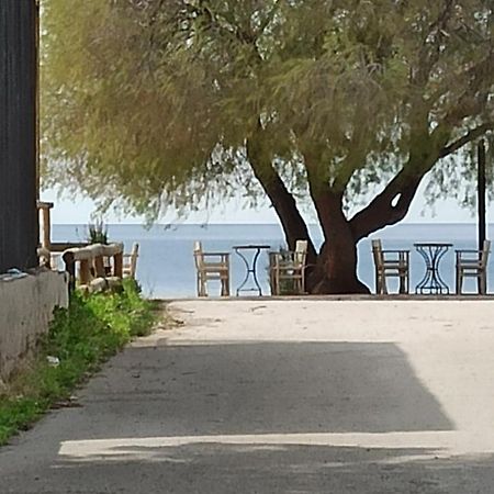 Ψάθα Παραλία Villa Buitenkant foto
